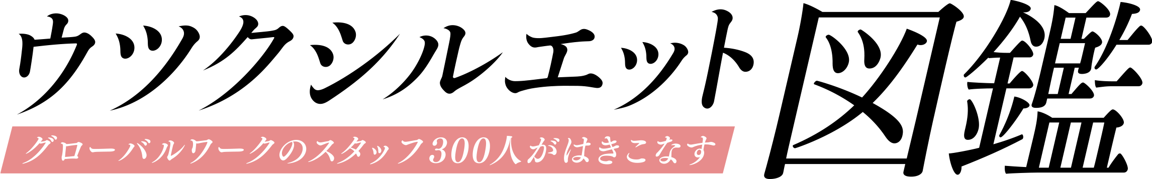 300人がはきこなす ウツクシルエット